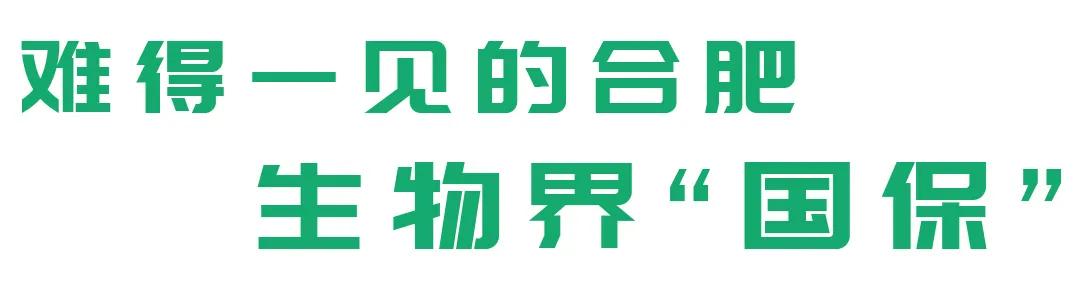 合肥融创茂宝藏秘境,合肥宝藏地