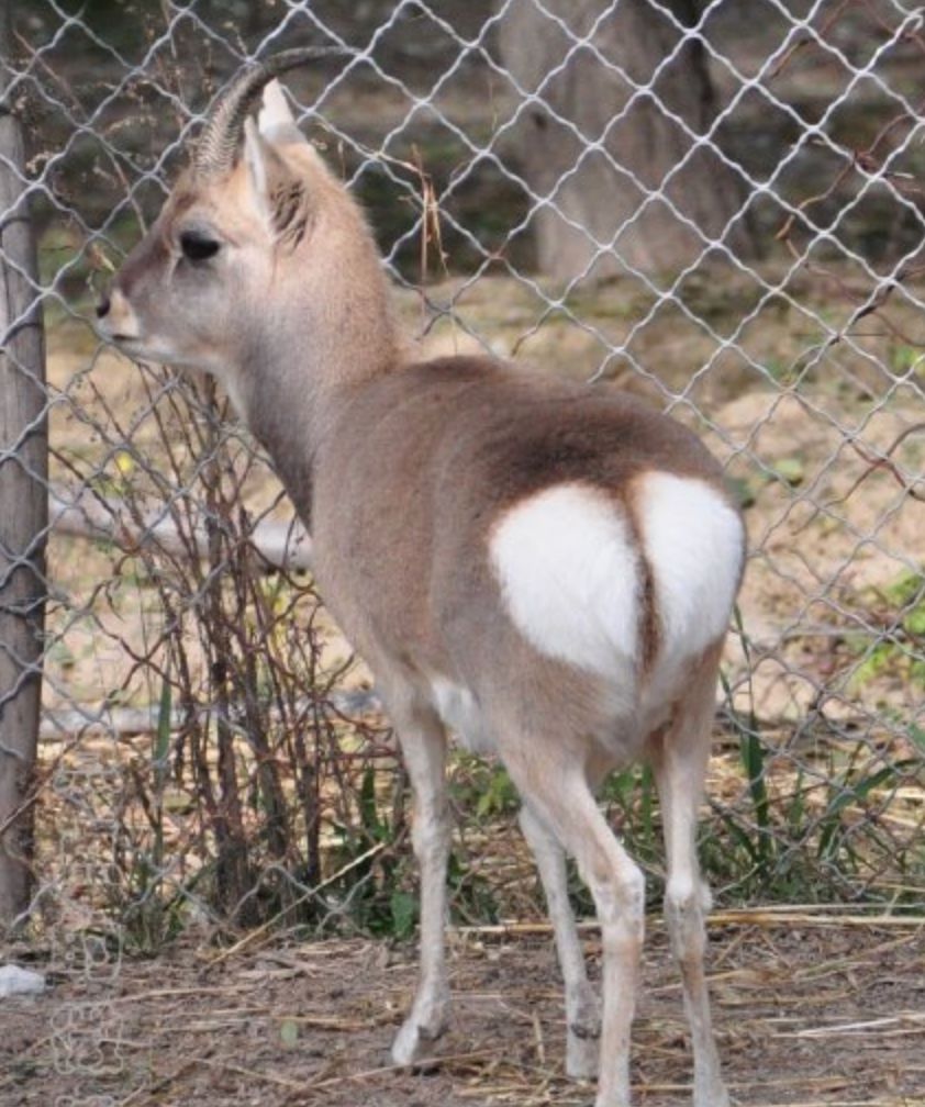 推荐最好玩的乐园,有没有值得玩的地方推荐一下