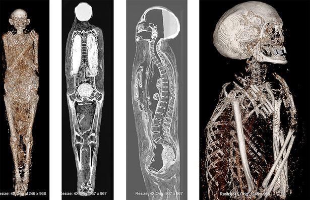 牛肉脂肪蓖麻油蜂蜡松脂，古埃及人真会生活，用这么高级的护发膏