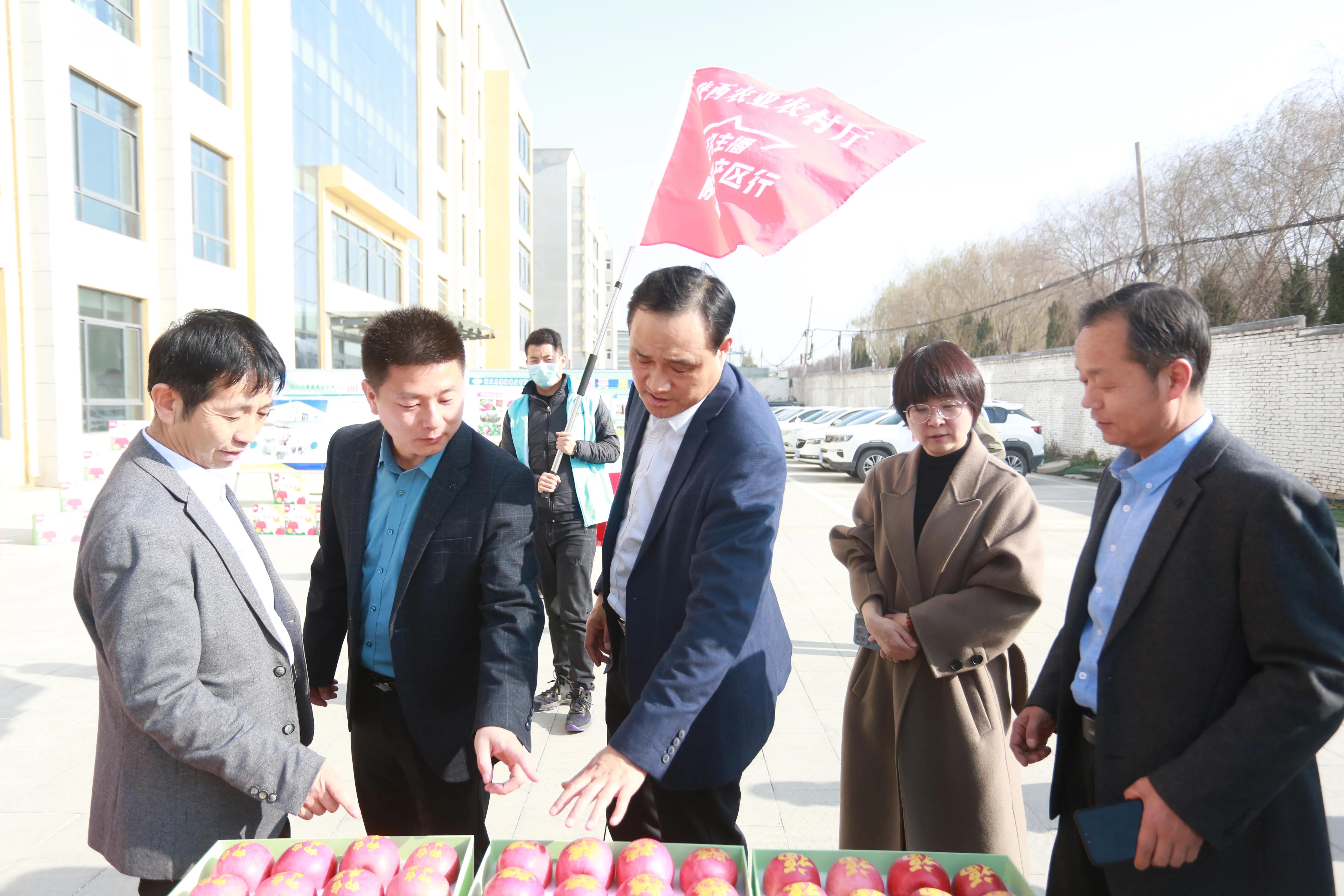 陕西铜川果品,铜川印台镇果业