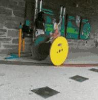 双十一退货被拒赔，都怪羊毛*党**