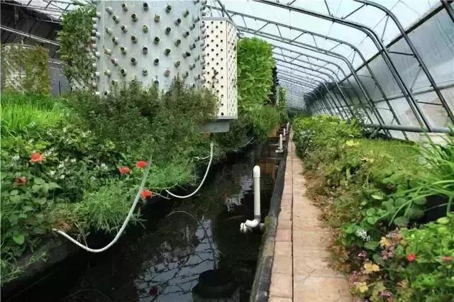 家庭300亩的农庄如何实现盈利,生态农庄家庭农场年赚百万的秘诀