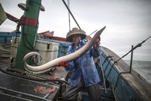 渔民出海捕鱼视频教程,渔民出海打鱼全过程