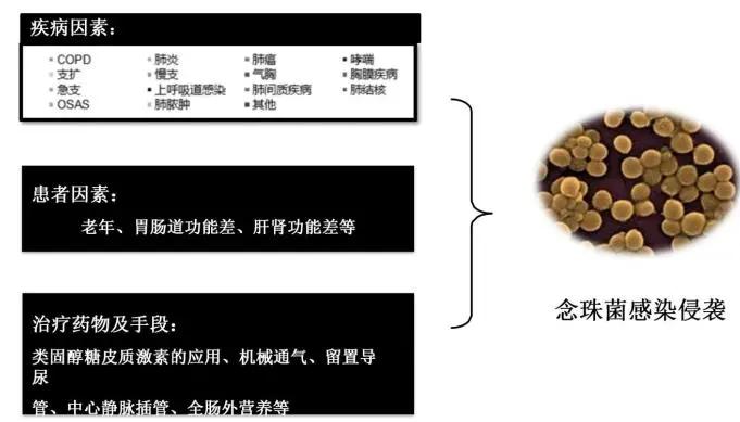 真菌培养及鉴定是阳性严重吗,怎么鉴别肺部真菌感染