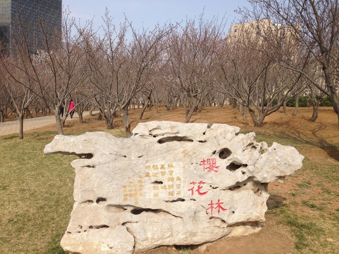 大连普兰店小众景点,大连免费的景点推荐