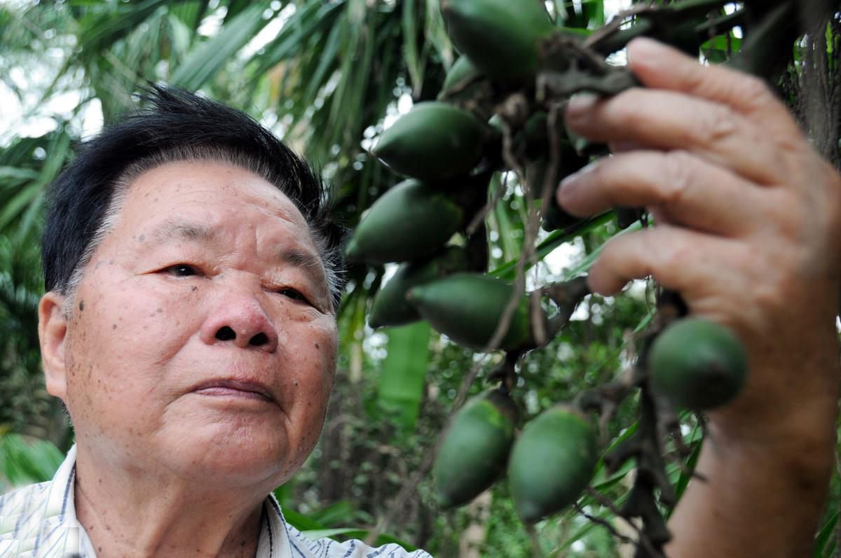 纪录片槟榔之殇,纪实记录槟榔之殇