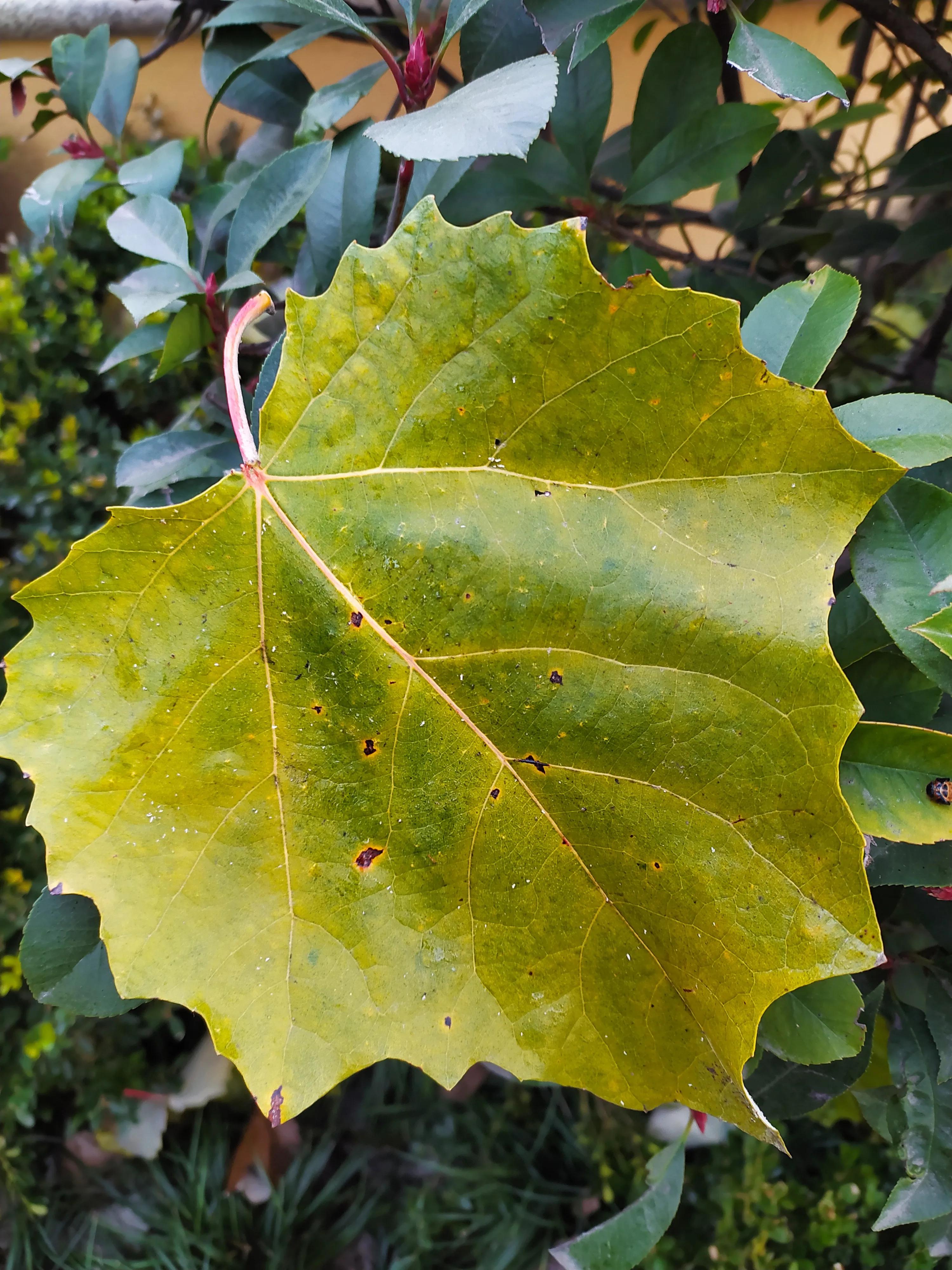 体验设计思路,过程体验设计