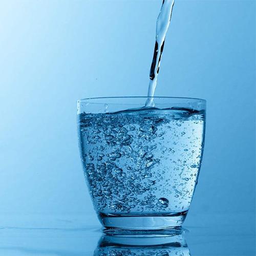 比熊每天尿特别多,比熊乱拉尿怎么办