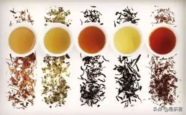 茶客入门必买茶具,泡茶茶具的选购指导