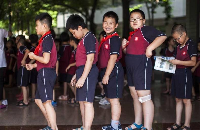 沈阳实力最强的小学,沈阳各区学区实力排行榜
