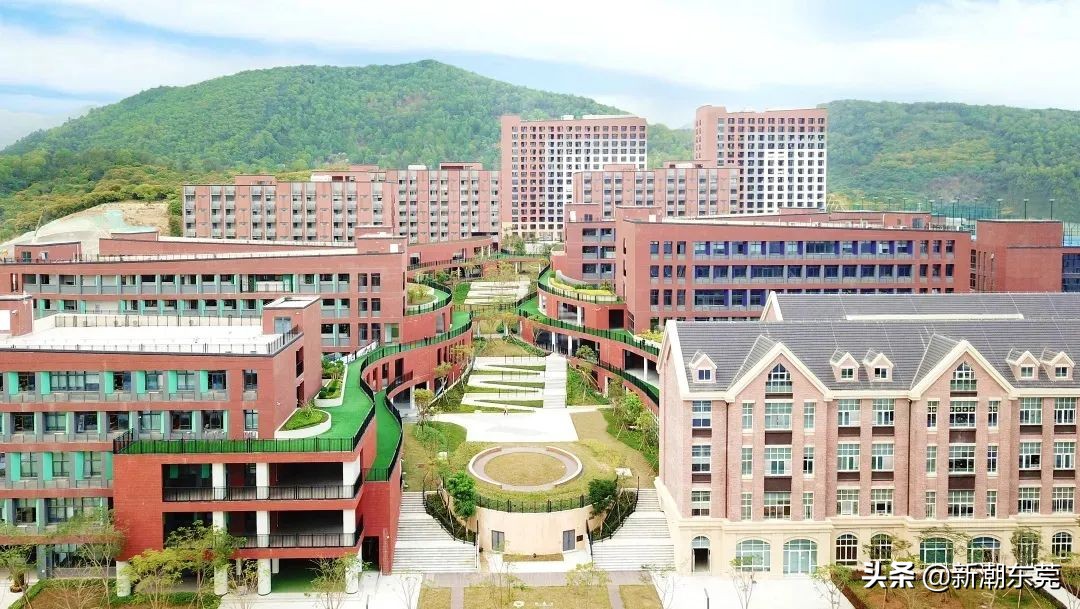 东莞外国语高中黑马,东莞黑马学校