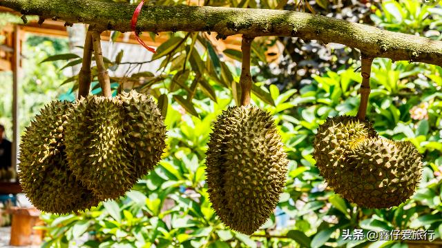 春暖花开带你去看晴空万里,泰国春季旅游