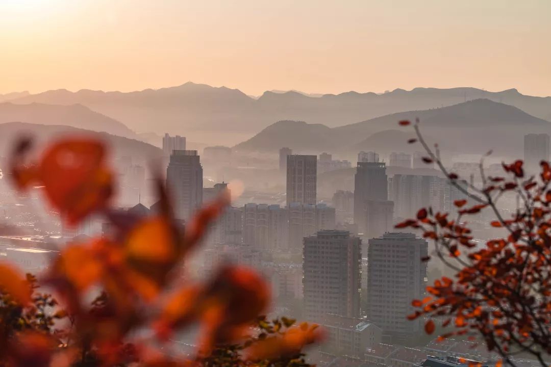 关于济南的介绍,关于济南印象最深是什么