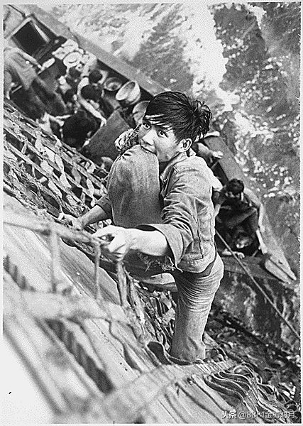 投奔怒海1982国语完整版,投奔怒海视频大全