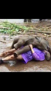 新娘开心的搞笑视频,搞笑gif开心一刻女司机上车