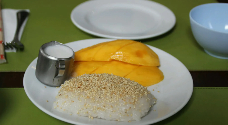 在普吉岛浮潜拍到的美妙海底世界 (普吉岛cape panwa hotel浮潜)