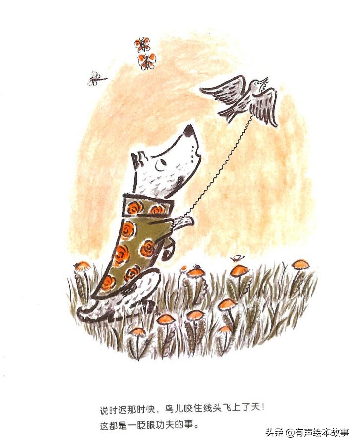 儿童故事哈利的花毛衣,哈利不可以有声绘本故事