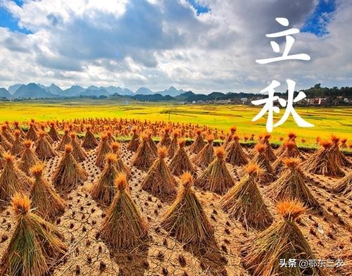 农村俗语早立秋冷飕飕,处暑时节民间俗语