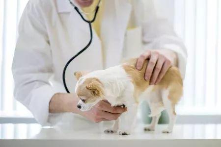 为它心甘情愿花掉一半工资！你们“铲”起千亿市场...