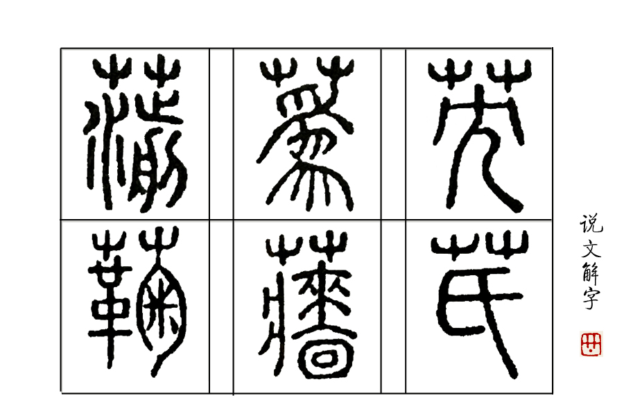 菊花在古代被古人称为什么之一,古代菊花的别称是什么