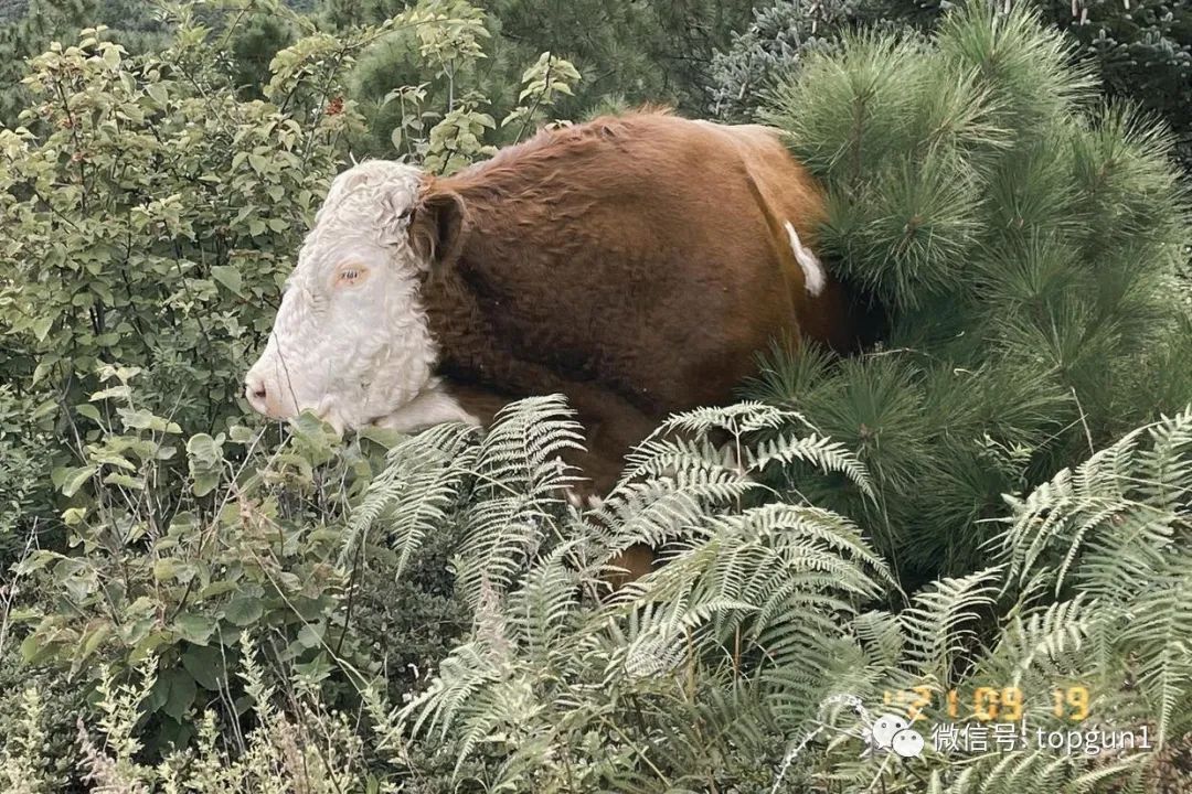 9月假期,9月很忙的句子