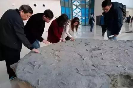 天津国家海洋博物馆门票怎么预约,天津海洋博物馆门票怎么免费预约