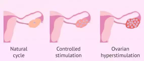 揭露代孕的骗局,揭露代孕黑色产业链的案例