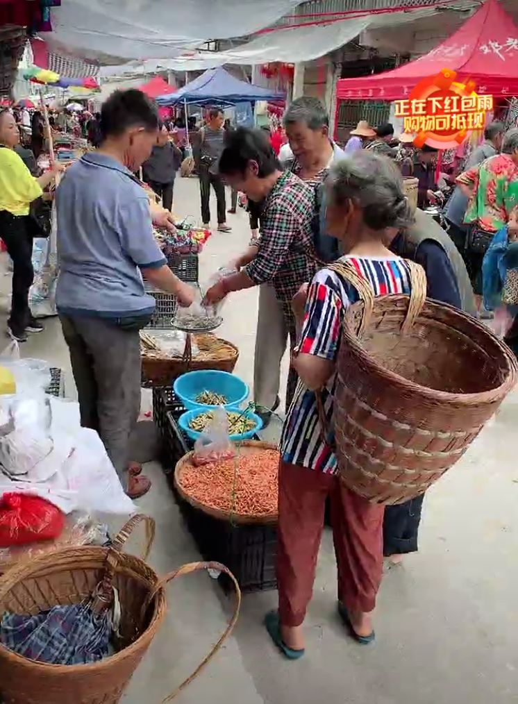 磨叽哥,磨叽哥直播