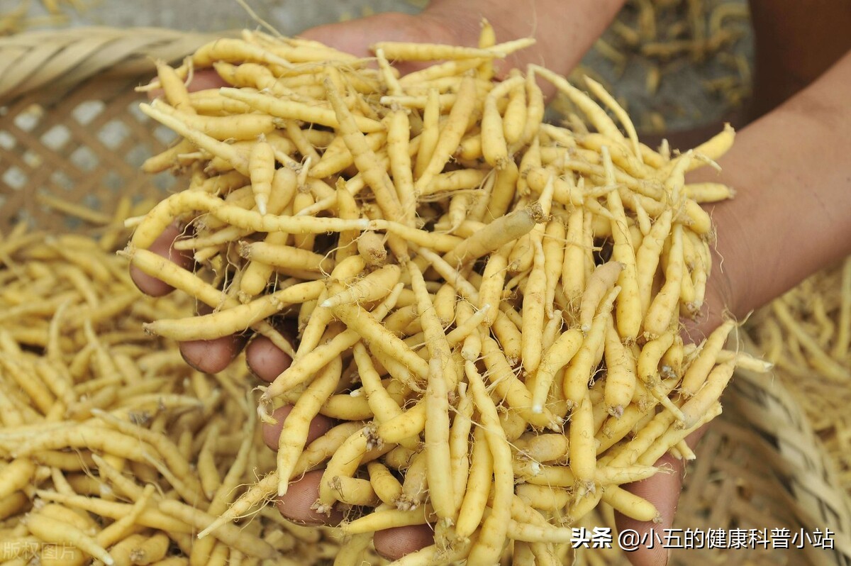 腹胀消化不良吃药没用,腹胀消化不良没有食欲吃什么药