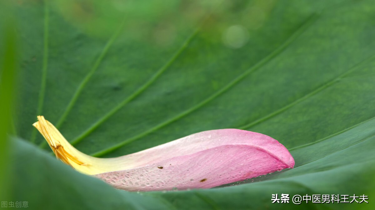 肾虚皮肤暗沉脾气差,精神萎靡面色晦暗无华