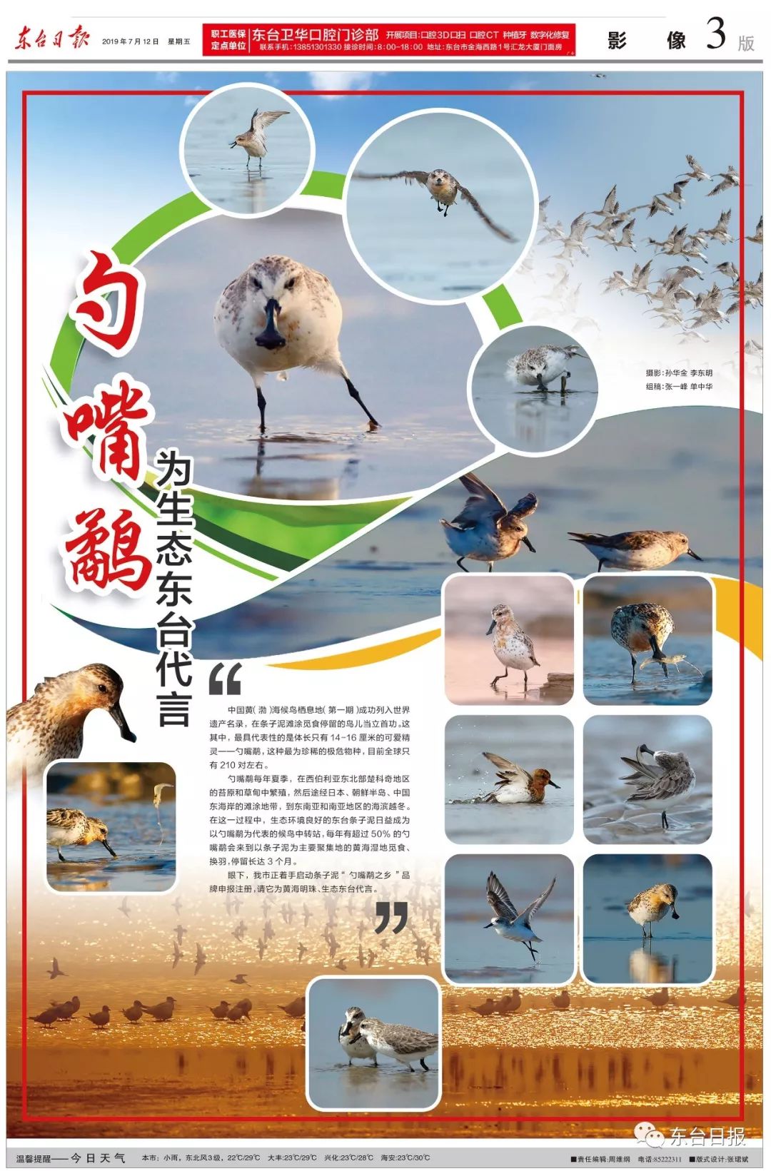 东台生态环境,东台宜居城市