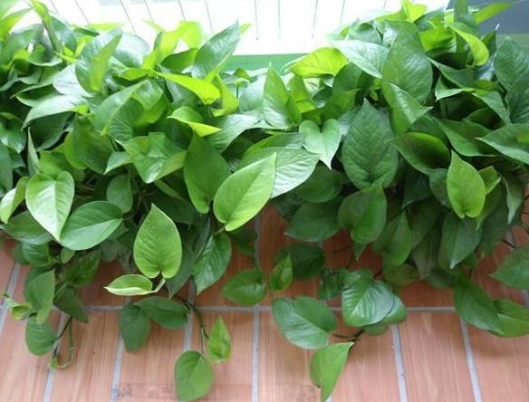 这三种药建议收藏,这3种药不能随便用