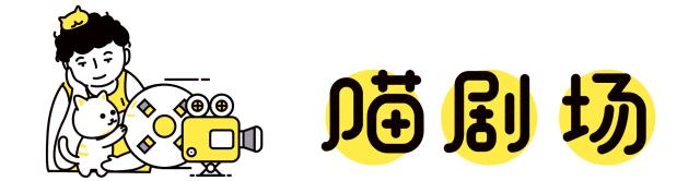 脑子一热养猫后悔怎么办,养猫后悔的原因有哪些