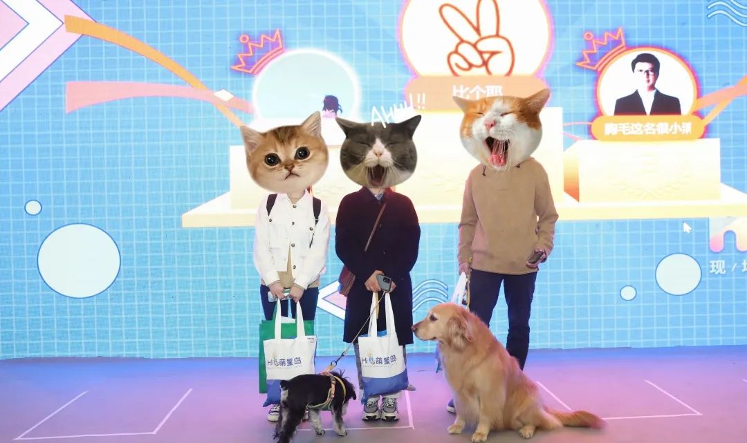 重庆宠博会2024年时间表,第二届天一重庆国际宠博会