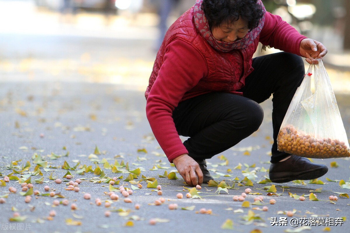 银杏果的臭味闻久了会中毒吗,银杏果的臭味有什么好处