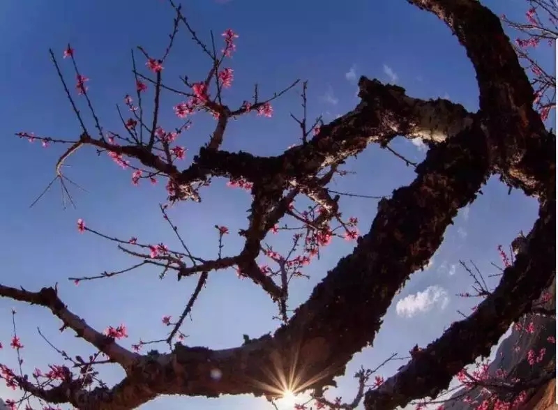 带你认识韶关,带你认识梅州