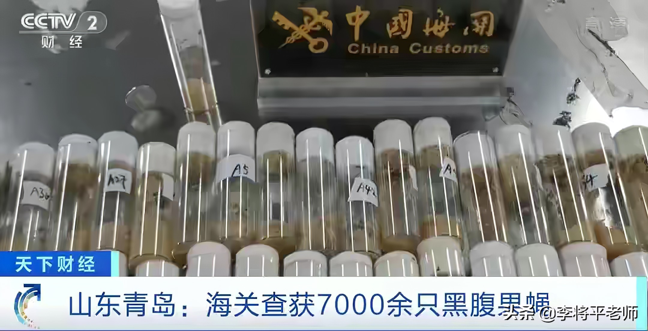 海关如何知道你带了活物入境?细数中国入侵生物中的英雄和耻辱们