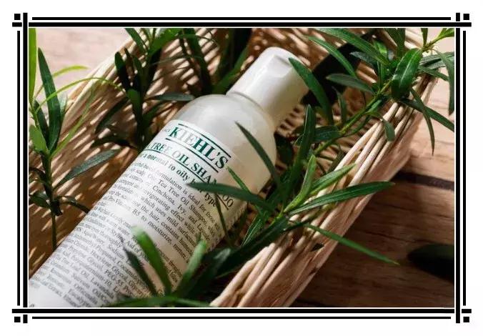 $20当$200花？土澳必买大牌平替大公开！