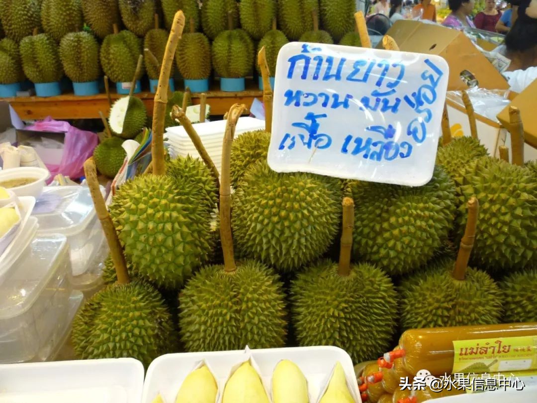 泰国最好的榴莲是什么榴莲,泰国榴莲与越南榴莲