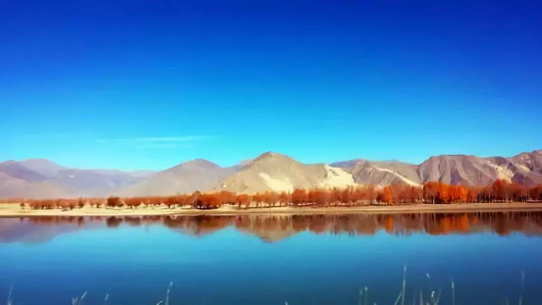 中国快递之快让全世界都惊呆了,中国桥梁为何惊呆了全世界