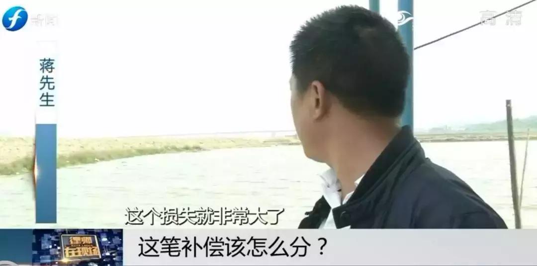 闹心|眼看快收成了,却遇上了麻烦事!这笔清退补偿究竟该怎么分?