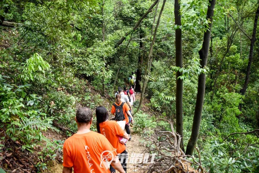 绿色环保行动实践活动总结,用行动践行绿色环保理念