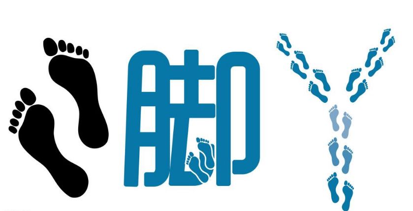 足部健康小知识,足脊健康知识