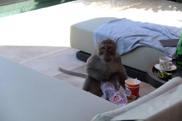 丽江束河看玉龙雪山的最佳酒店,丽江束河住宿推荐