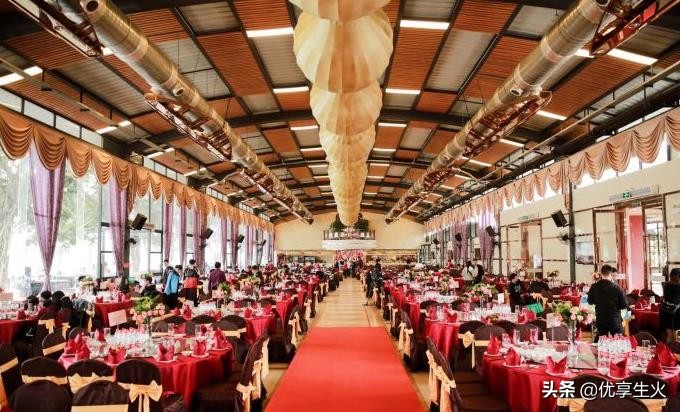 在广州生活十几年了，既然不知道有这么多极美的岛，赶紧收藏吧