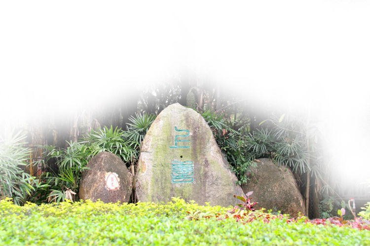 美在梅山-深圳市福田区梅山中学建校20周年志庆(2)