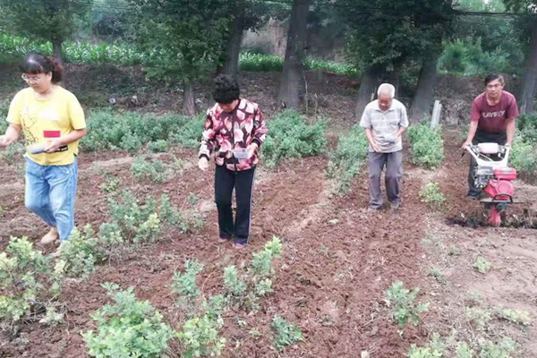 村主任意外离世,一村干部不幸离世