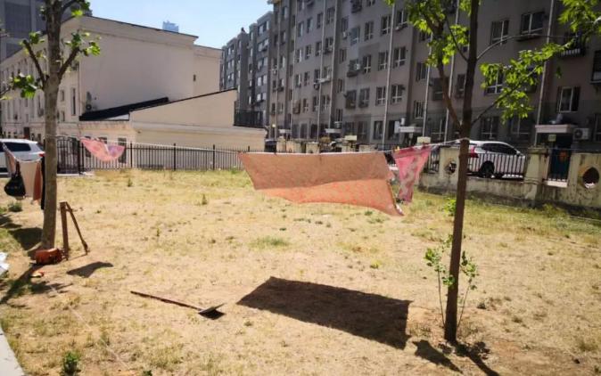 西岗体育馆室内足球场,西岗区新增地块