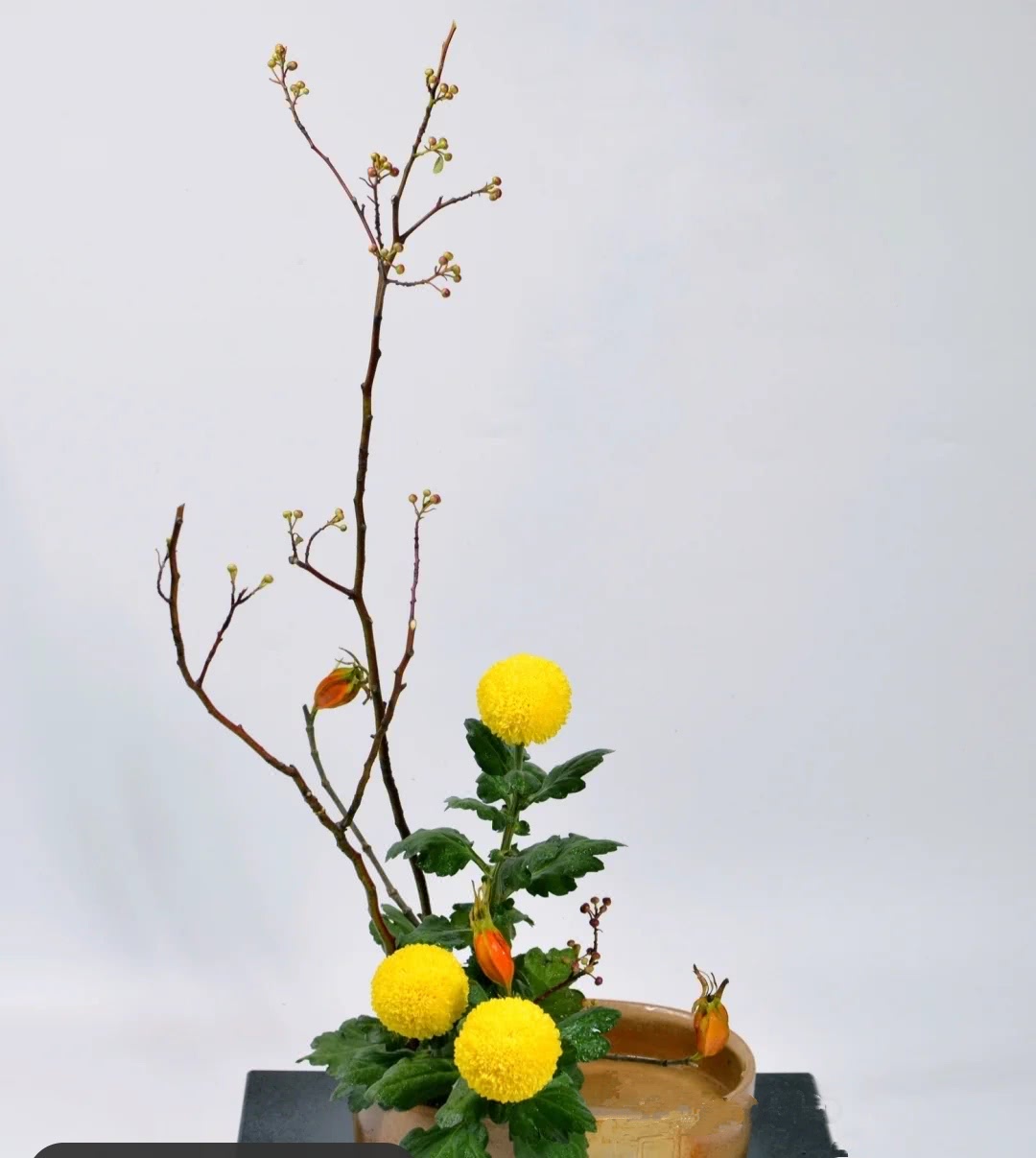 插花学习培训,如何学习插花花艺培训课程