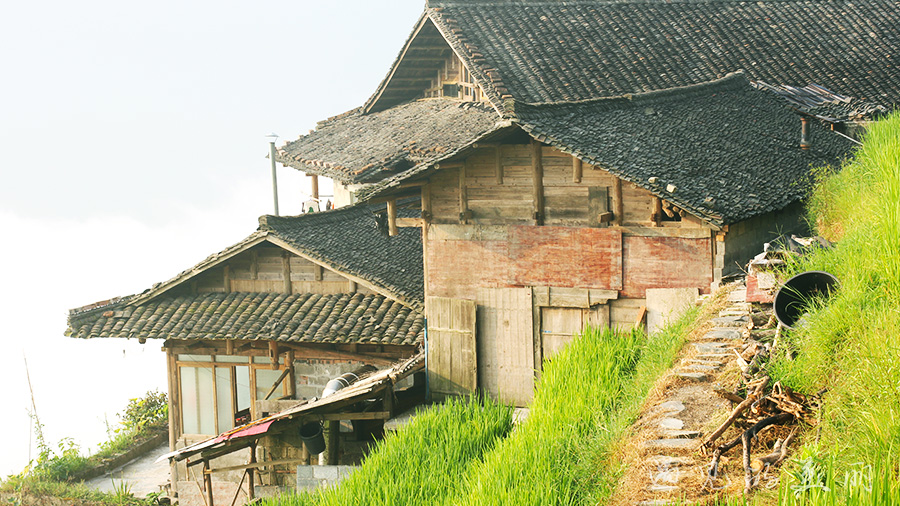 龙脊梯田风景区被破坏过吗,桂林龙脊梯田最全攻略